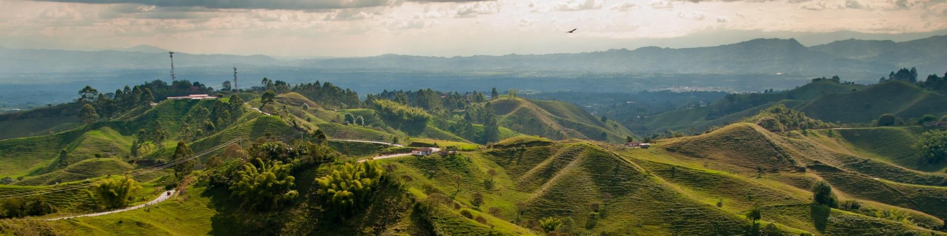 Coffee Triangle – Kolumbia z Memories Vacations